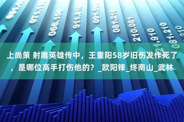 上尚策 射雕英雄传中，王重阳58岁旧伤发作死了，是哪位高手打伤他的？_欧阳锋_终南山_武林