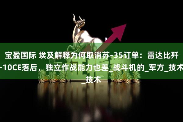 宝盈国际 埃及解释为何取消苏-35订单：雷达比歼-10CE落后，独立作战能力也差_战斗机的_军方_技术