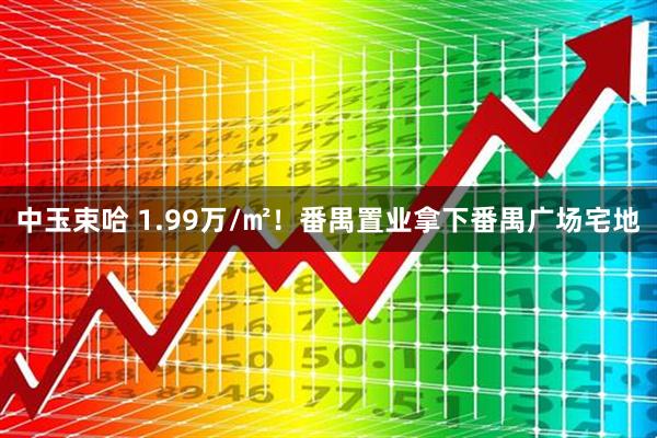 中玉束哈 1.99万/㎡！番禺置业拿下番禺广场宅地